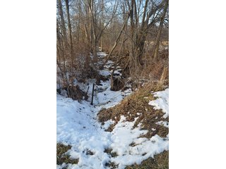Property photo 27 - FARMLAND AUCTION, 60+/- Acres in 6 Tracts ranging from 4 to 20 acres & in combinations!